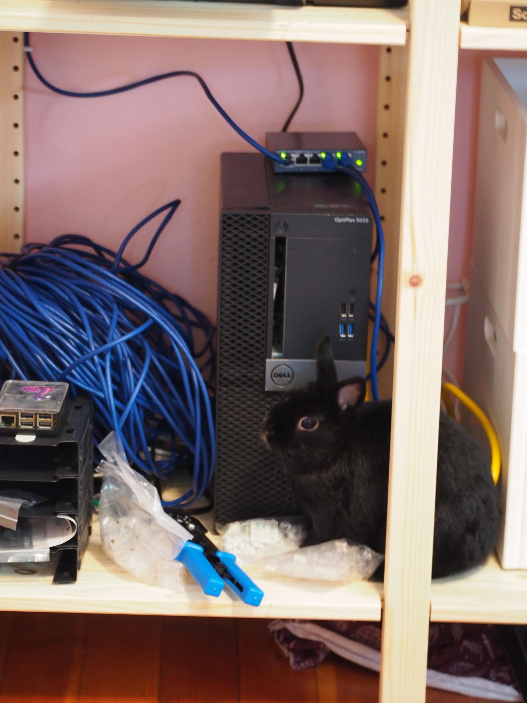 Anton Network Admin